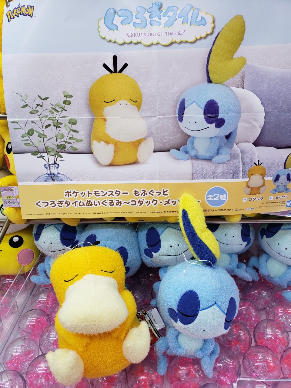 □アミューズ入荷情報です！◇ポケットモンスターもふぐっとくつろぎ